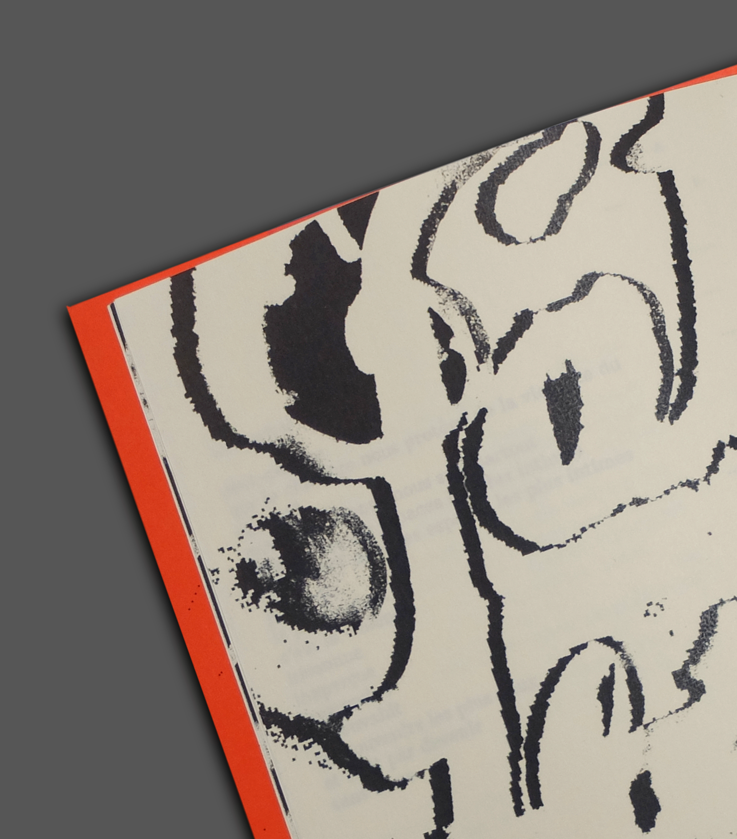 Allo Produit Pluie Livre ouvert