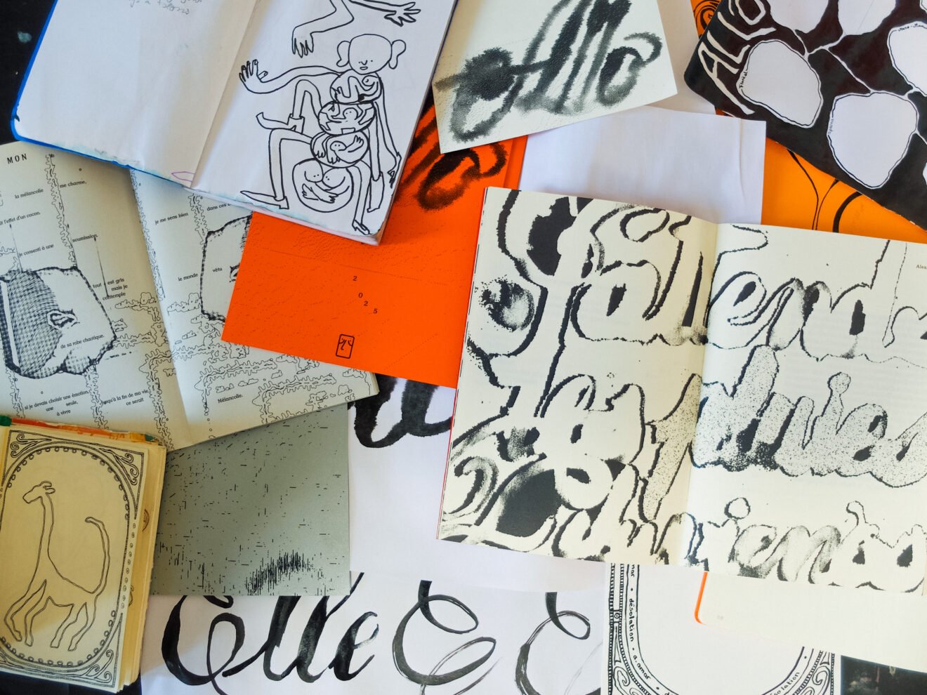 Allo Produit Pluie Livre ouvert